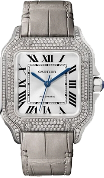 Cartier Santos de Cartier medium,mechanical,white gold,35.1 mm WJSA0014