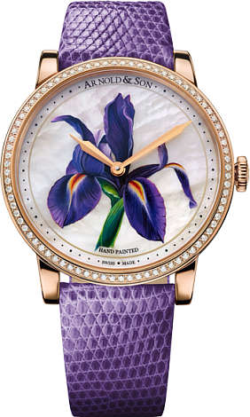 Arnold & Son Royal Collection HM Flower Purple Iris 1LCMP.M03A.L512A
