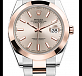 Steel and Everose gold 41 mm 01
