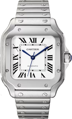 Cartier Santos de Cartier medium,mechanical,Steel,35.1 mm WSSA0029