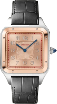 Cartier Santos de Cartier Dumont,Extra-large, 46,6 mm W2SA0025