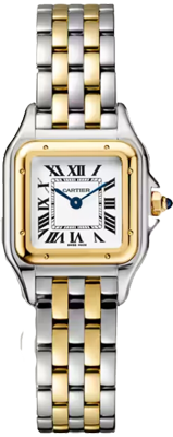Cartier Panthère de Cartier medium model, yellow gold and steel W2PN0019 Cartier Panthère de Cartier medium model, yellow gold and steel W2PN0019