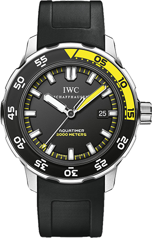 IWC Архив IWC Automatic 2000 44mm IW356810 IWC Архив IWC Automatic 2000 44mm IW356810