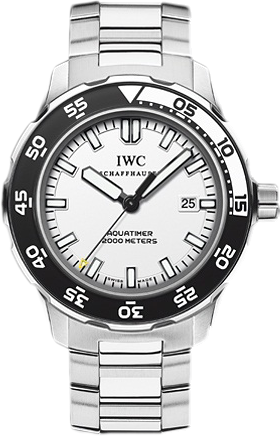 IWC Архив IWC Automatic 2000 IW356805