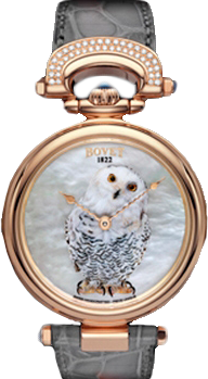 Bovet Miniature Painting Animals Bovet Owl