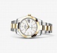 Steel and yellow gold 41mm 02