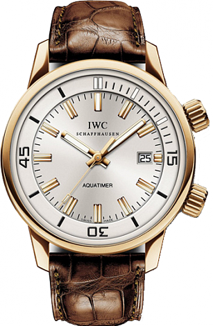 IWC Vintage - Jubilee Edition 1868-2008 Automatic IW323103 IWC Vintage - Jubilee Edition 1868-2008 Automatic IW323103