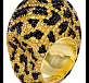 Leopard Print Bombe' Ring 01