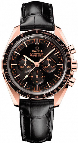 Omega Speedmaster Moonwatch Professional Co‑Axial Chronograph 42 mm 310.63.42.50.01.001