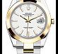 Steel and yellow gold 41mm 01
