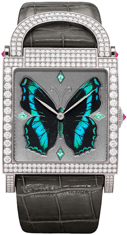 Delaneau Square Dôme Butterfly ADO3R001 WG PA002