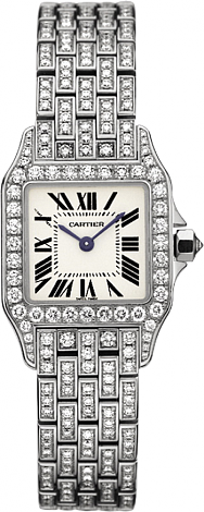 Cartier Santos de Cartier Demoiselle WF9003YA