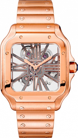 Cartier Santos de Cartier Skeleton WHSA0016