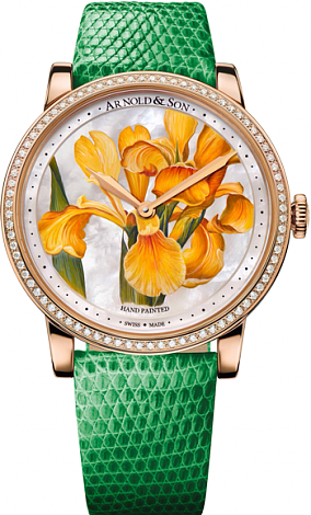 Arnold & Son Royal Collection HM Flower Yellow Iris 1LCMP.M05A.L510A