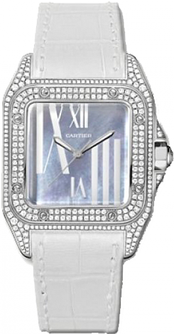 Cartier Santos de Cartier 100 Medium WM503251 Cartier Santos de Cartier 100 Medium WM503251