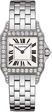 Cartier Santos de Cartier Demoiselle Large WF9004Y8