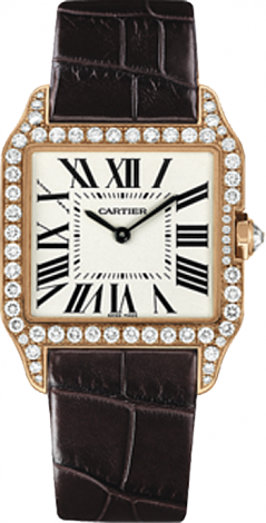 Cartier Santos de Cartier Dumont Small WH100351