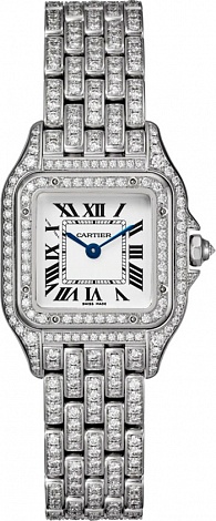 Cartier Santos de Cartier 30mm Quartz HPI01129