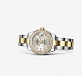 28 mm steel yellow gold and diamonds 03