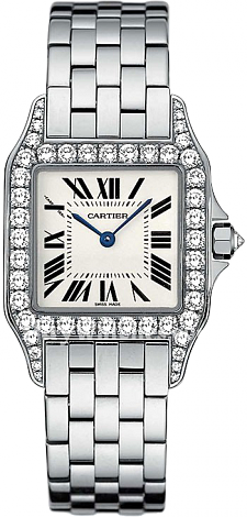 Cartier Santos de Cartier Demoiselle Small WF9003Y8