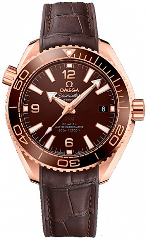 Omega Seamaster Planet Ocean 600M Co‑Axial 39,5 mm 215.63.40.20.13.001