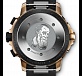 Chronograph Edition «Expedition Charles Darwin» 02