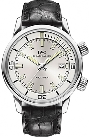 IWC Vintage - Jubilee Edition 1868-2008 Automatic IW323105 IWC Vintage - Jubilee Edition 1868-2008 Automatic IW323105
