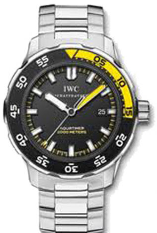 IWC Архив IWC Automatic 2000 Automatic 2000