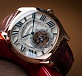 Flying Tourbillon 04